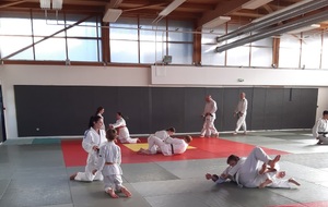Judo Teams 